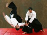 CURSO DE AIKIDO FAIXA PRETA NISHIO EM 6 DVDS C/ CERTIFICADO