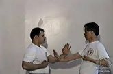 CURSO WING CHUN KUNG FU - TERENCE YIP C/ CERTIFICADO