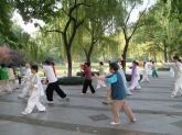 CURSO DE TAI CHI CHUAN EM DVD C/CERTIFICADO