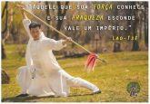 CURSO DE WUSHU SÉRIE DE ROTINAS EM 12 DVDS C/ CERTIFICADO