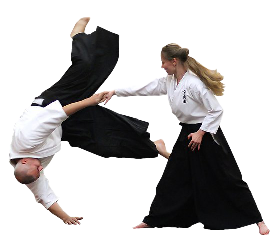 DVD AIKIDO DEFESA CONTRA FACA