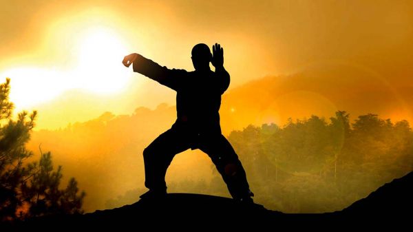 CURSO DE TAI CHI CHUAN EM DVD C/CERTIFICADO