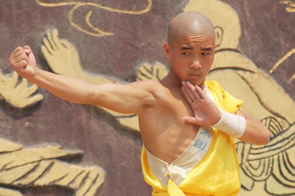 CURSO SHAOLIN TREINAMENTOS EM 3 DVDS C/CERTIFICADO