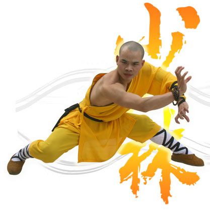 CURSO COMPLETO SHAOLIN P/ PROFESSOR c/CERTIFICADO