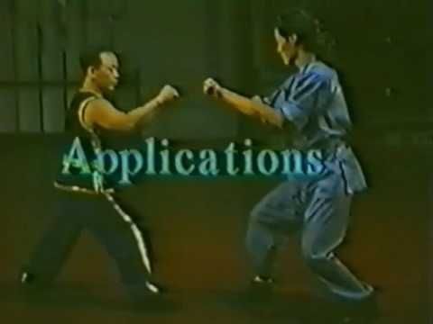 CURSO DE CHIN-NA KUNG-FU 5 VIDEOS C/ CERTFICADO