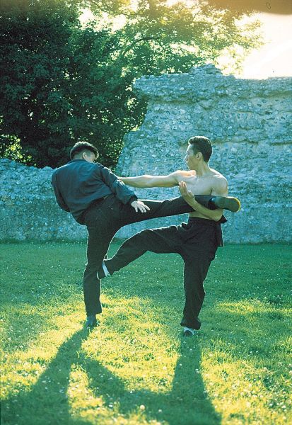 Mestre Wai-Po Tang Curso de Wing Chun C/Certifica é Brinde