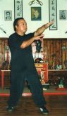 CURSO COMPLETO DE WING CHUN KUNG-FU EM DVD( c/certificado)