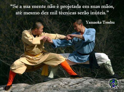 video curso SHAOLIN BÁSICO E FORMAS SHAOLIN