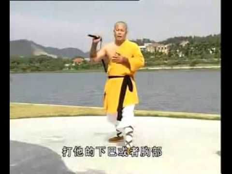 CURSO COMPLETO DE CHI KUNG EM DVD C/ CERTIFICADO