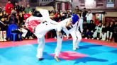 Curso de World Taekwondo Academy