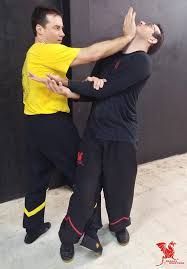 CURSO WING CHUN M. DRAGON EM 3 DVDS C/CERTIFICADO