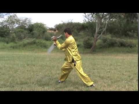 CURSO Facas Borboleta Wong Fei Hung