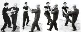 DVD BEGINNING WING CHUN - ALAN GIBSON