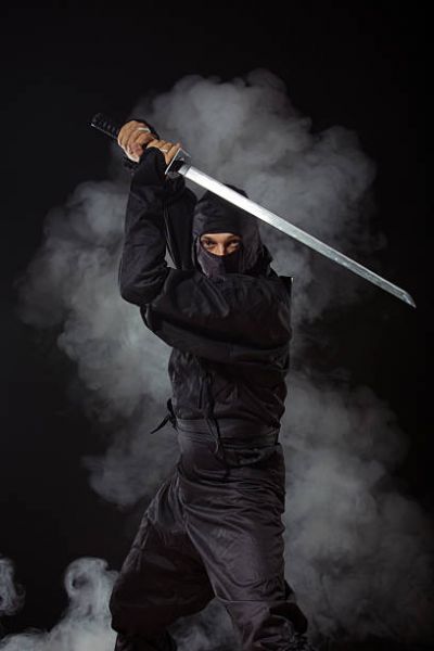 CURSO de KOGA NINJA P/ INSTRUTOR C/Certificado