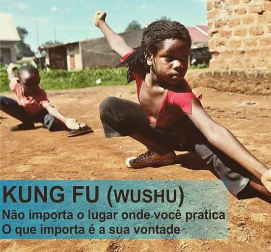 CURSO DE WUSHU SÉRIE DE ROTINAS EM 12 DVDS C/ CERTIFICADO