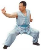 CURSO DE CHIN-NA KUNG-FU 5 VIDEOS C/ CERTFICADO