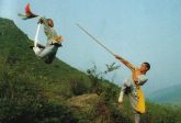 MEGA CURSO SHAOLIN  DE BASTÃO CHINÊS P/INSTRUTOR c/CERTIFICADO