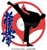 CURSO DE KARATE FAIXA PRETA KYOKUSHIN OYAMA C/CERTIFICADO