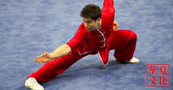 video curso SHAOLIN BÁSICO E FORMAS SHAOLIN