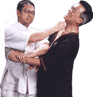 CURSO O DINÂMICO WING CHUN LUNG TING EM 2 DVDS