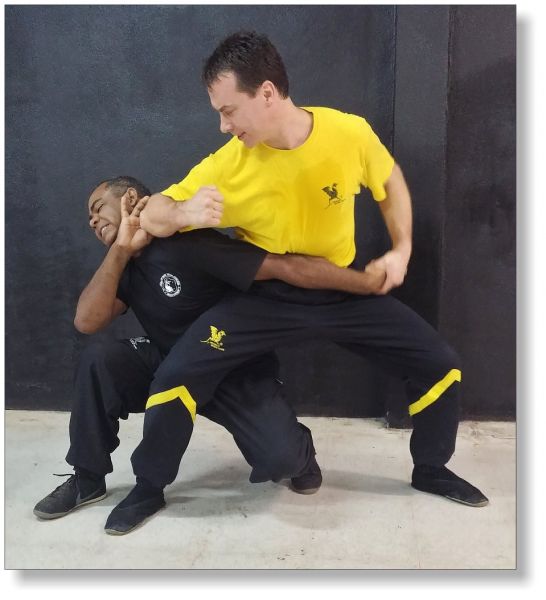 CURSO WING CHUN M. DRAGON EM 3 DVDS C/CERTIFICADO