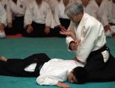 HAPKIDO - LUTA COM FACAS COM CERTIFICADO