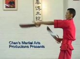 Facas Borboleta Wing Chun