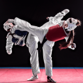 Curso de World Taekwondo Academy