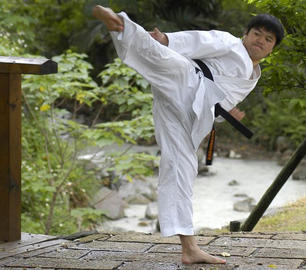 CURSO DE KARATE Shotokan C/CERTIFICADO