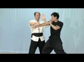 Shaolin Punho Longo Kung Fu
