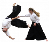 DVD AIKIDO DEFESA CONTRA FACA