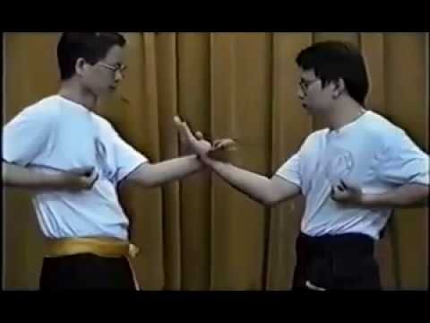 CURSO WING CHUN KUNG FU - TERENCE YIP C/ CERTIFICADO