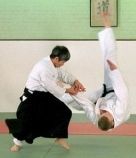 AIKIDO PROGRAMA DE ENSINO FUNDAMENTAL EM 2 DVDS