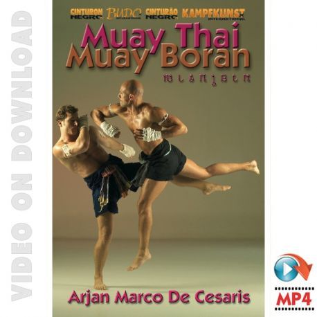CURSO DE MUAY THAI EM DVD(c/ certficado)
