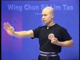 CURSO WING CHUN EM 14 DVDS - MESTRE WONG C/ CERTIFICADO