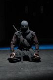 Curso Técnicas Secretas dos Ninjas