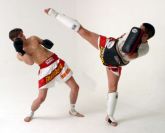 MUAY THAI PASSO A PASSO EM DVD