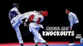 Curso de World Taekwondo Academy