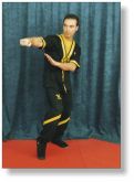 CURSO WING CHUN M. DRAGON EM 3 DVDS C/CERTIFICADO