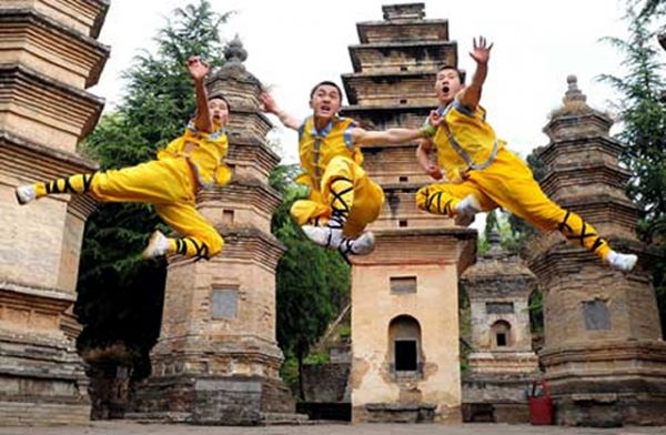 video curso SHAOLIN BÁSICO E FORMAS SHAOLIN