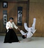 AIKIDO PROGRAMA DE ENSINO FUNDAMENTAL EM 2 DVDS