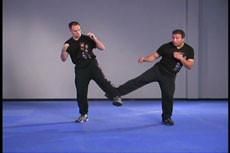 CURSO DE JEET KUNE DO EM 8 DVDS C/RON BALICK + CERTIFICADO