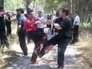 SEMINÁRIO WING TSUN KUNG FU EM 3 DVDS