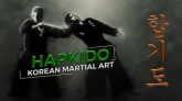 Curso HAPKIDO defesa Pessoal Real