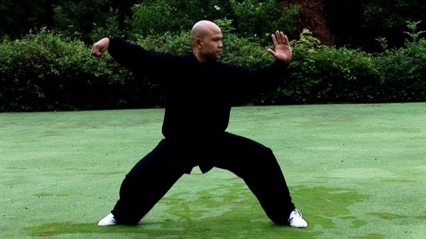 CURSO TAI CHI COMBAT EM 7 VIDEOS(C/CERTIFICADO)