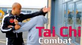 CURSO TAI CHI COMBAT EM 7 VIDEOS(C/CERTIFICADO)