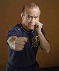 CURSO EM VIDEO DE JEET KUNE DO EM 5 DVDS C/ CERTIFICADO