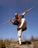 MEGA CURSO SHAOLIN  DE BASTÃO CHINÊS P/INSTRUTOR c/CERTIFICADO