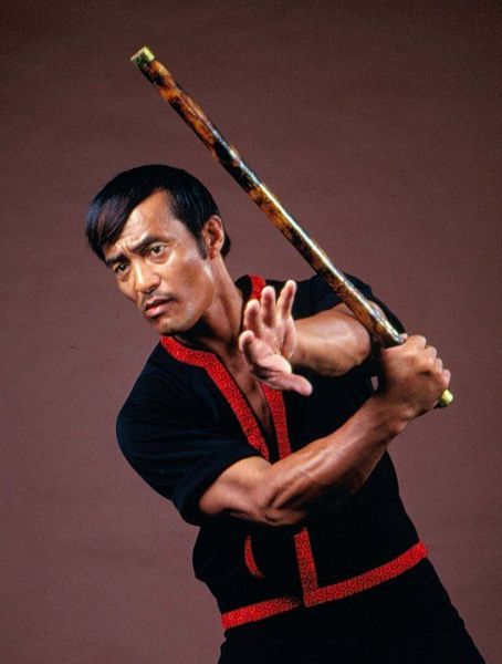 CURSO EM VIDEO DE JEET KUNE DO EM 5 DVDS C/ CERTIFICADO