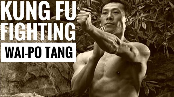 Mestre Wai-Po Tang Curso de Wing Chun C/Certifica é Brinde